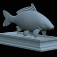 carp-statue-24.png fish carp / Cyprinus carpio statue detailed texture for 3d printing