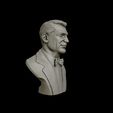 20.jpg Cary Grant bust sculpture 3D print model