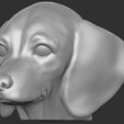 2.jpg Puppy of Dachshund dog head for 3D printing