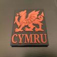 IMG_20190911_123626.jpg Welsh Dragon Coaster