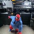 imagen_2026-08-14_215739260.png SPIDERFAT