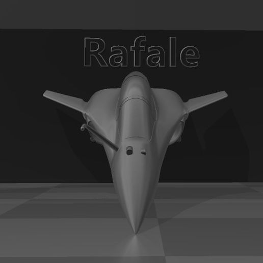 Rafale 3D model