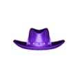 Western GhostRider-Cat_Hat By Ge32 (Small Size).stl WESTERN GHOST RIDER CAT - Helmet