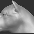 12.jpg Lioness head for 3D printing
