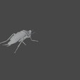 AW.png COCKROACH - DOWNLOAD Cockroach 3d model - Animated for Blender-fbx-unity-maya-unreal-c4d-3ds max - 3D printing COCKROACH COCKROACHES COCKROACH