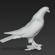 15.01.2026_21.21.30_REC.png 3d buy a pigeon