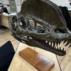Cráneo de Dilophosaurus