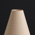 MACRO-SLIMPRINT-2305.jpg Triangle Texture Vase, Vase Mode