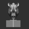 01.jpg Rhino