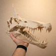 4003a38a-a9d9-4668-b134-137e13121765.png The Spinosaurus Legacy: A Multi-Part Museum-Quality Fossil Replica with Enhanced Anatomical Detail