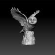 owl1-2.jpg Owl decorative