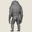 Baboon-Monkey-Standing-05.jpg Baboon Monkey Standing