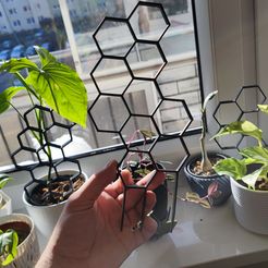 1644744008834.jpg Archivo STL gratis Soporte vegetal hexagonal・Modelo para descargar y imprimir en 3D