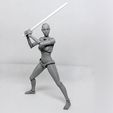 008.jpg Lady Figure the 3D printed female action figure