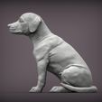 puppy-rhodesian-ridgeback-sitting2.jpg Puppy rhodesian ridgeback sitting 3D print model