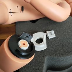 IMG20230413121517.jpg Free OBJ file Ambulatory infant dummy leg attachment・3D printer design to download