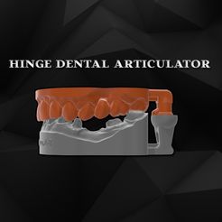 511.jpg Descargar archivo STL articulador dental de bisagra V2 • Objeto para impresión 3D, Fil_3D