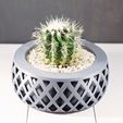 NeatPlanter2.jpg Criss Cross Planter