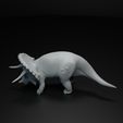 Triceratops_3.jpg Triceratops cute dinosaur set