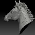 9.jpg 3d print model of Zebra head.