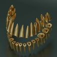 dental-anatomy-and-root-structures-3d-model-4830dd6b3b.jpg Dental Anatomy and Root Structures