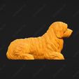 4206-Coton_De_Tulear_Pose_07.jpg Coton De Tulear Dog 3D Print Model Pose 07