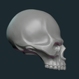 SSkull-16.png Stylized Skull