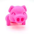 DSC01283 copia.jpg Articulated Piggy