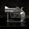 IMG_4427.JPEG Bond Arms Gun - John Wick's Gun