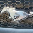 IMG-20231127-WA0002.jpg Mustang Case