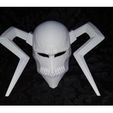 38698854_10217156978935652_2542565461787148288_o.jpg STL file The Whole Hollow Mask - Kurosaki Ichigo - Bleach・3D print design to download