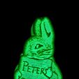 20221227_205753.jpg Night Light Collection. Peter Rabbit NightLight, Easy Print