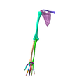4.png SKELETON OF  LEFT UPPER  LIMB 32 PARTS
