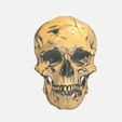 1.jpg scull