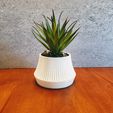 front-w-flowers-1.jpeg Flared Bottom Ribbed Succulent Planter