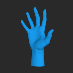 hand.png Hand - 3D Scanned by Revopoint MIRACO 3D S
