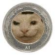 FB_IMG_1747144585066.jpg UNIFI-COIN / Truji-peso