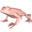 model.png Frog