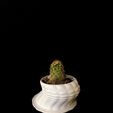 5.jpg Small plant pot (Small Planter)