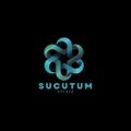 SUCUTUM3D