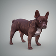 Captura.PNG Free STL file French Bulldog・3D printer model to download, Hardesigner