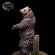 011.jpg Grizzly Bear and Scenic Base Presupported