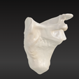 3.png 3D-Knochenmodell des Schulterblatts