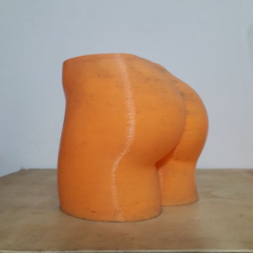 20231229_223616.jpg Sexy Ass Pot