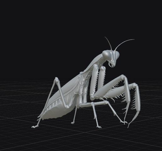 Mantis