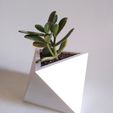 IMG_20190716_161513966.jpg Octahedron Planter (Három Farkas)