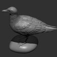 gull6.jpg Herring gull 3D print model