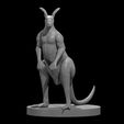 e2273640-221b-4915-b1a4-a17d37e32fc6.jpg 袋鼠 - 拳击和常规