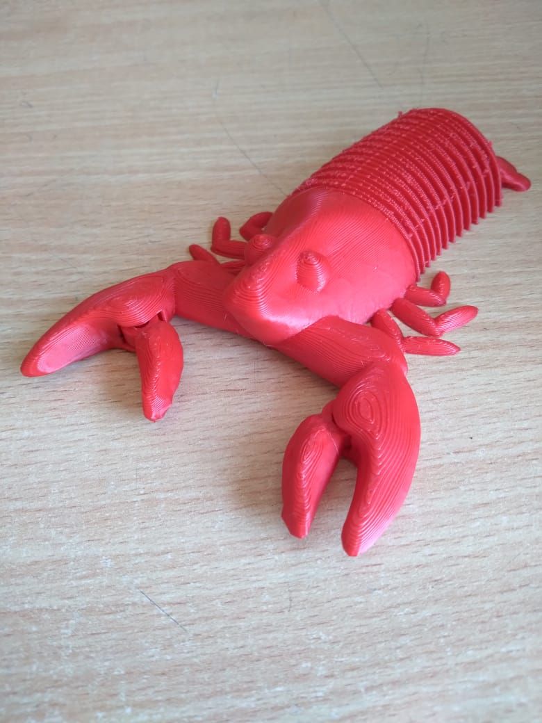 WhatsApp-Image-2021-09-13-at-11.19.53-AM.jpeg STL file Flexi Sea Lobster・3D print model to download, Finnick_XYZ