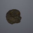 Screenshot-2024-09-10-102759.png Fossile d'ammonite